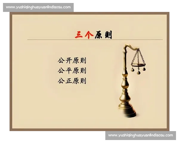 以公平原则引导社会资源分配与机会均等的新路径探索