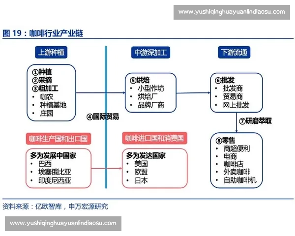 替补阵容发力激发球队潜力全面解析新赛季战术布局